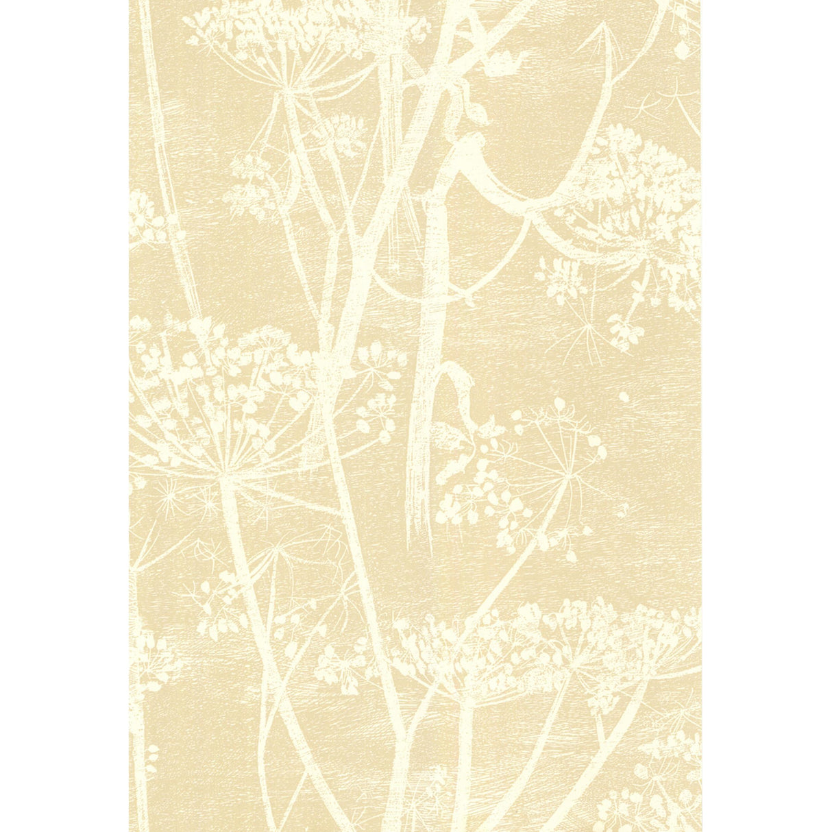 Cole & Son COW PARSLEY WHITE/BGE Wallpaper