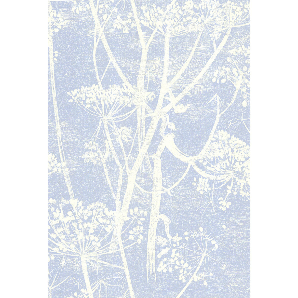 Cole & Son COW PARSLEY WHITE/BLU Wallpaper