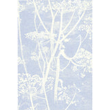 Cole & Son COW PARSLEY WHITE/BLU Wallpaper