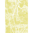Cole & Son COW PARSLEY WHITE/Y Wallpaper