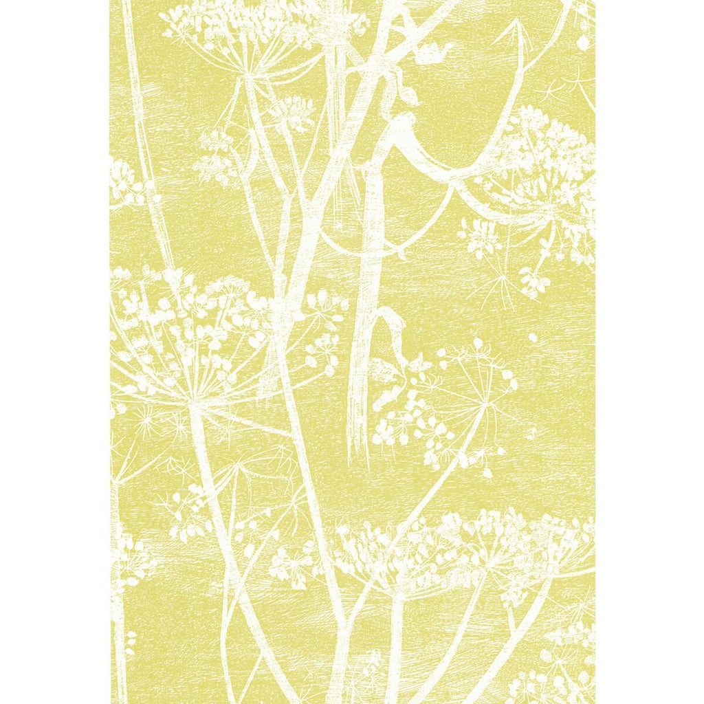 Cole & Son COW PARSLEY WHITE/Y Wallpaper