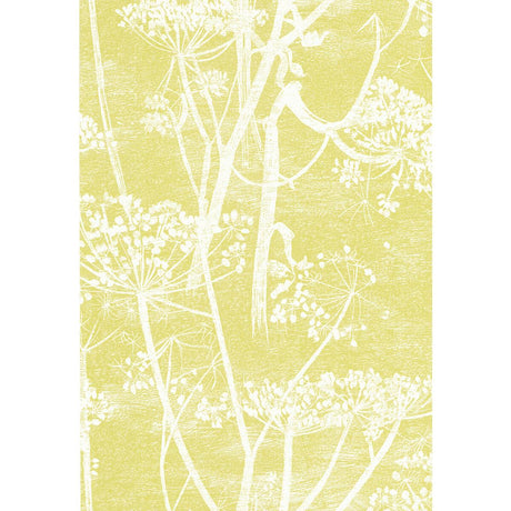 Cole & Son Cow Parsley White/Y Wallpaper