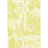 Cole & Son Cow Parsley White/Y Wallpaper