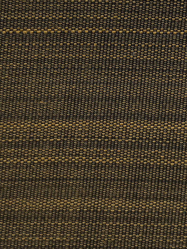 Scalamandre Paso Horsehair Dark Brass Fabric