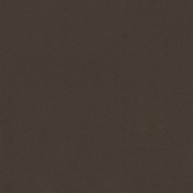 Kasmir Odin Bark Fabric