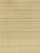 Scalamandre Paso Horsehair Lime Fabric