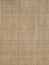 Scalamandre Paso Horsehair Mushroom Fabric