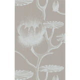 Cole & Son LILY WHITE/GREY Wallpaper