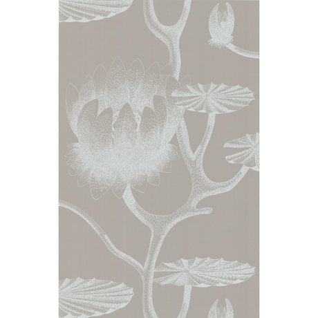 Cole & Son Lily White/Grey Wallpaper