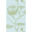 Cole & Son LILY SAGE/PALE BLUE Wallpaper