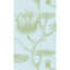 Cole & Son LILY SAGE/PALE BLUE Wallpaper