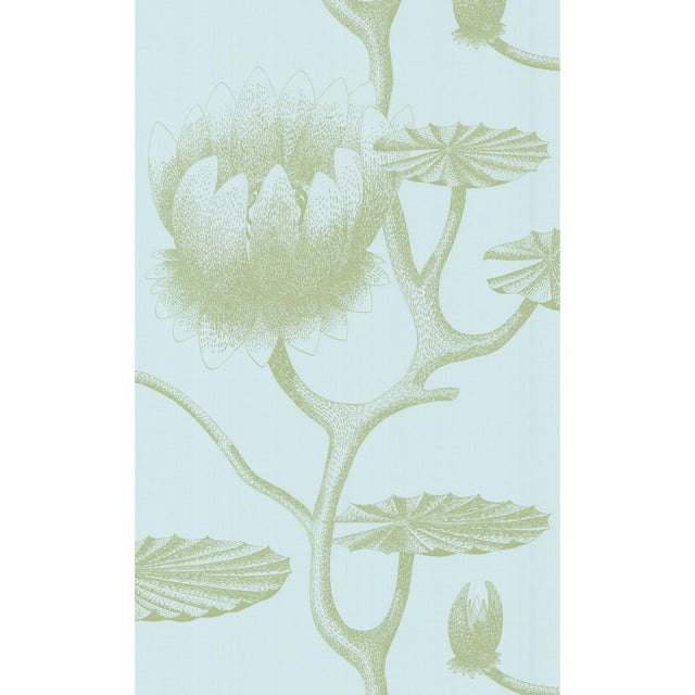 Cole & Son LILY SAGE/PALE BLUE Wallpaper