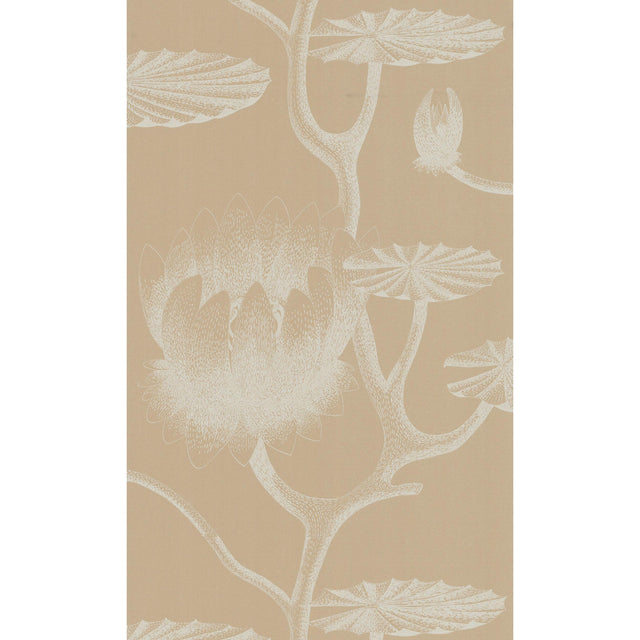 Cole & Son LILY IVORY/SAND Wallpaper
