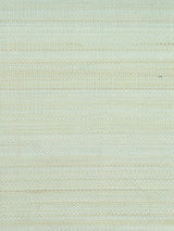 Scalamandre Paso Horsehair Pale Blue Fabric