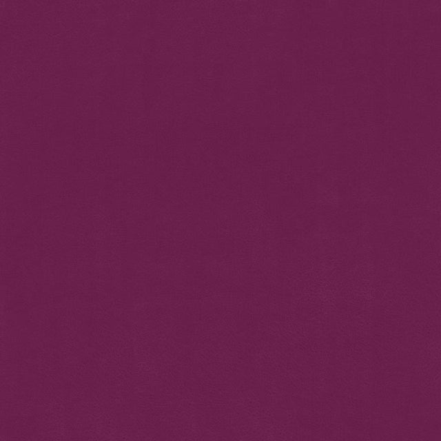 Kasmir Odin Fuschia Fabric