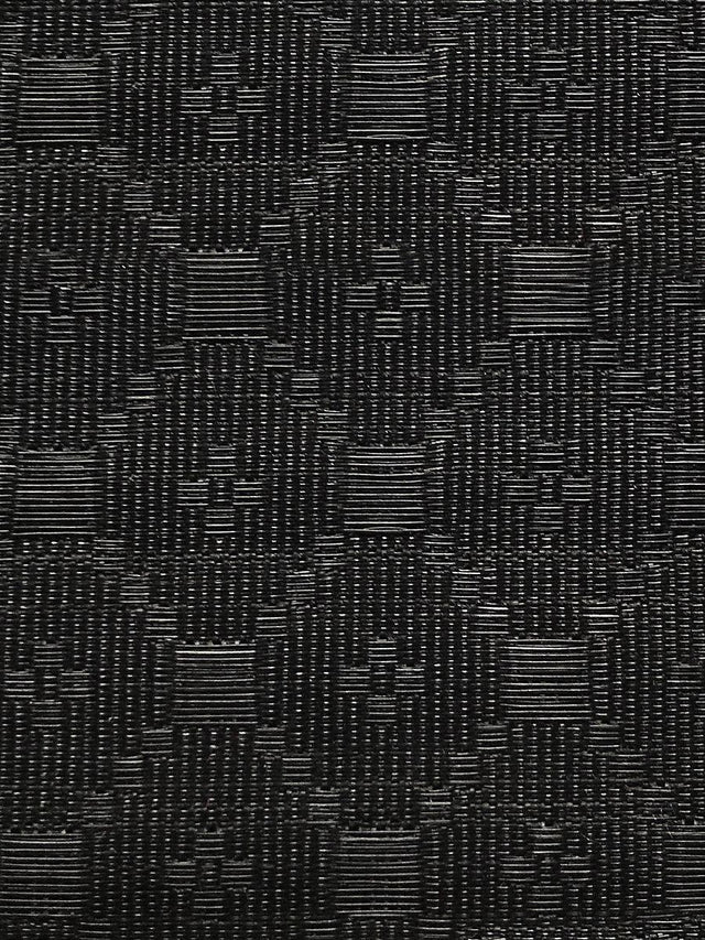 Scalamandre Durano Horsehair Black Fabric