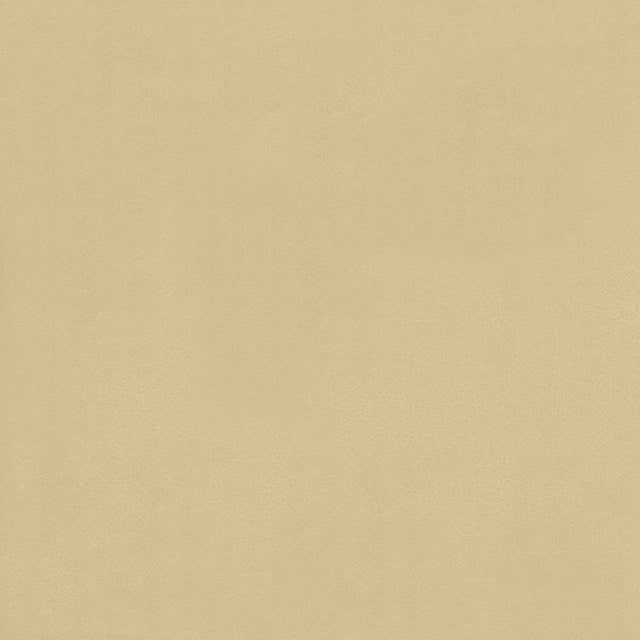 Kasmir Odin Linen Fabric