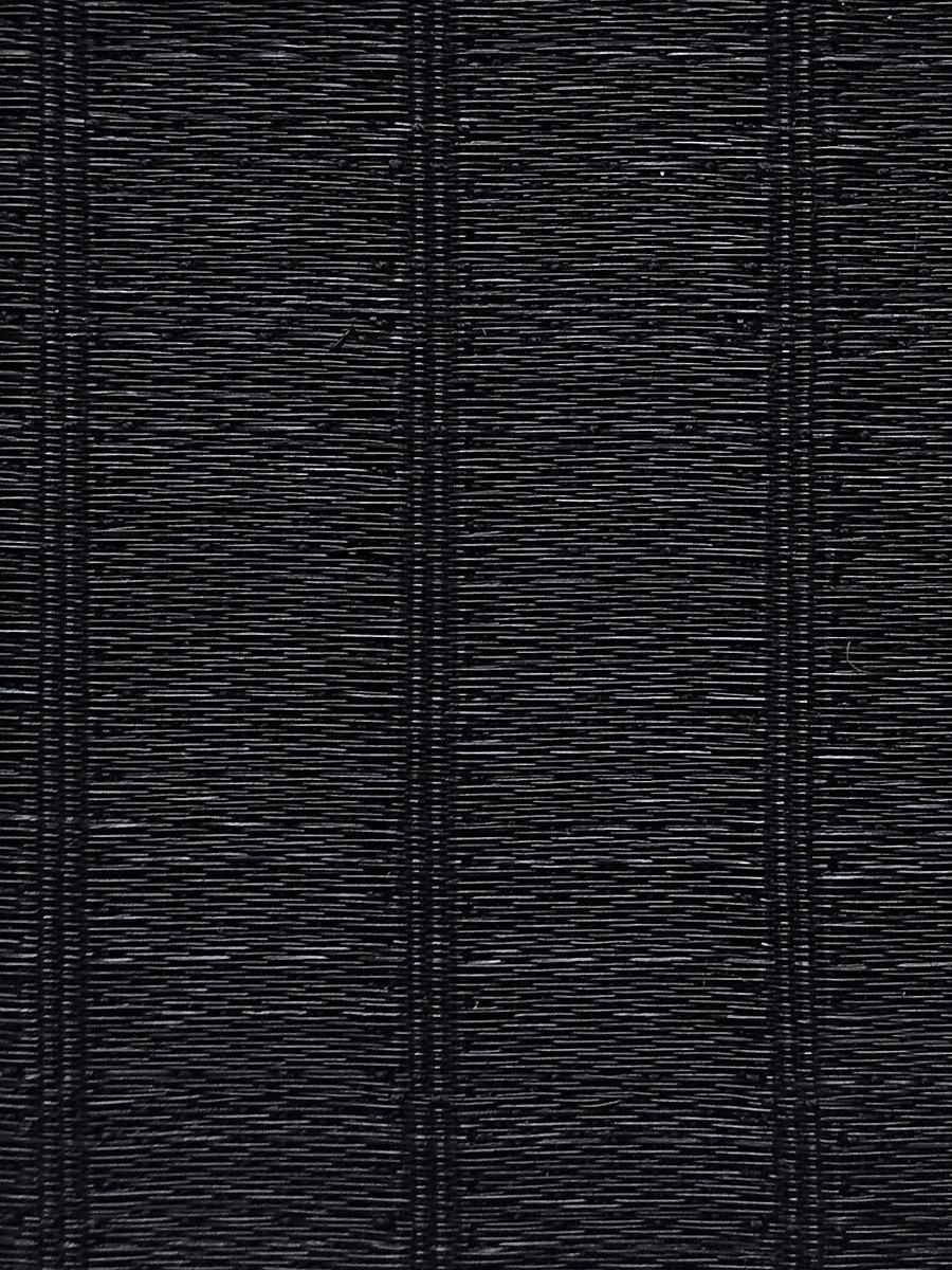 Scalamandre Orlov Horsehair Black Fabric