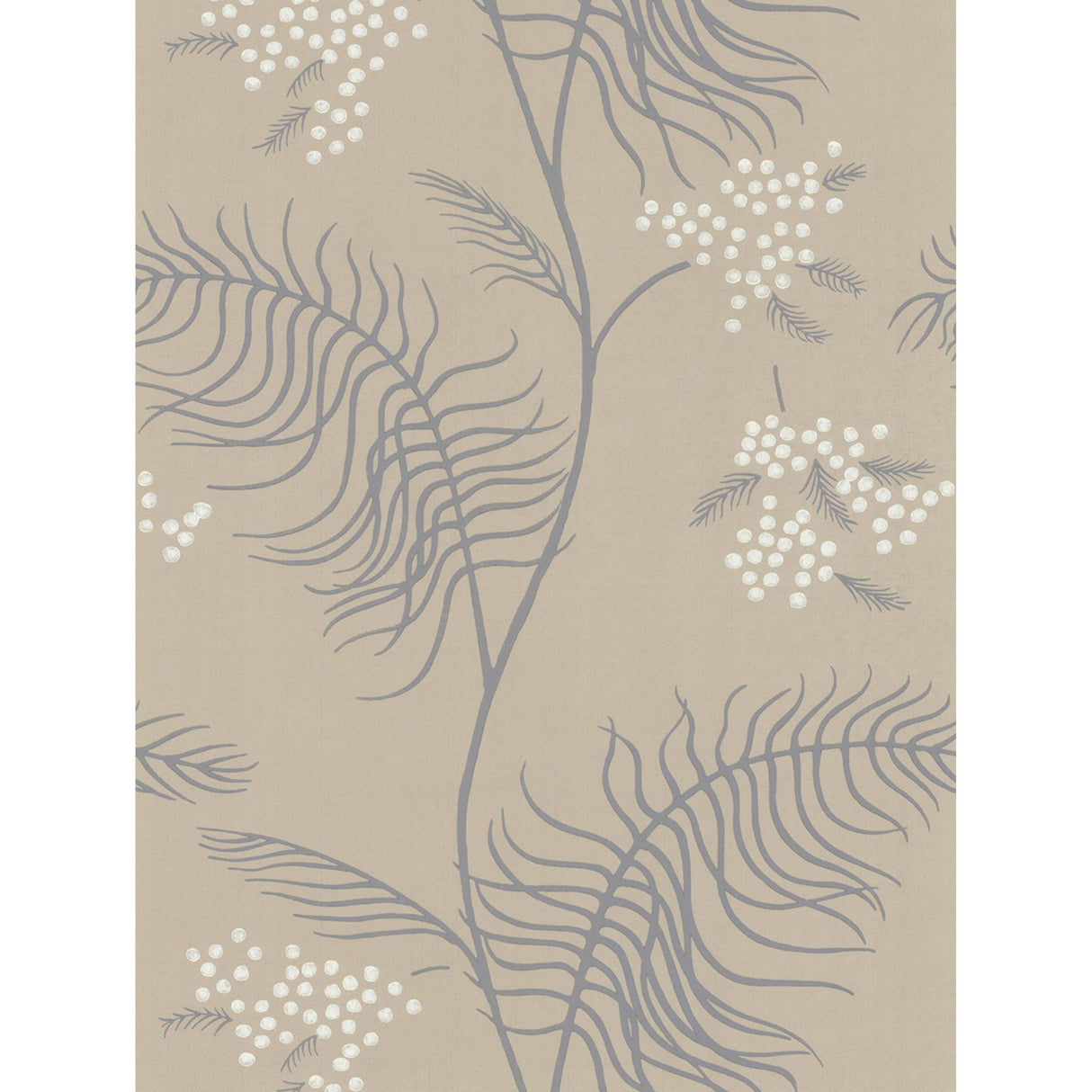 Cole & Son MIMOSA SANDSTONE Wallpaper
