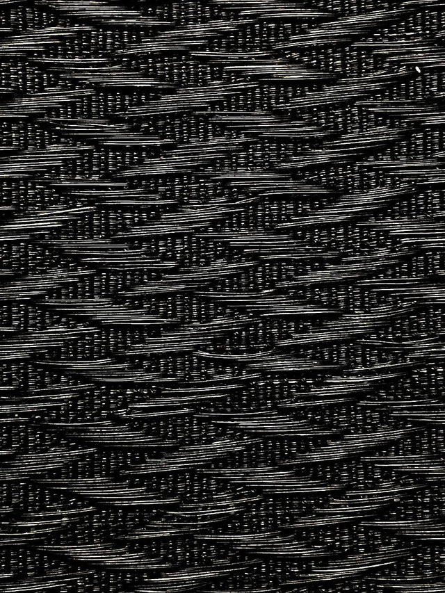 Scalamandre Milzig | Cotton/Horsehair Black Fabric
