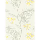Cole & Son MIMOSA WHITE Wallpaper