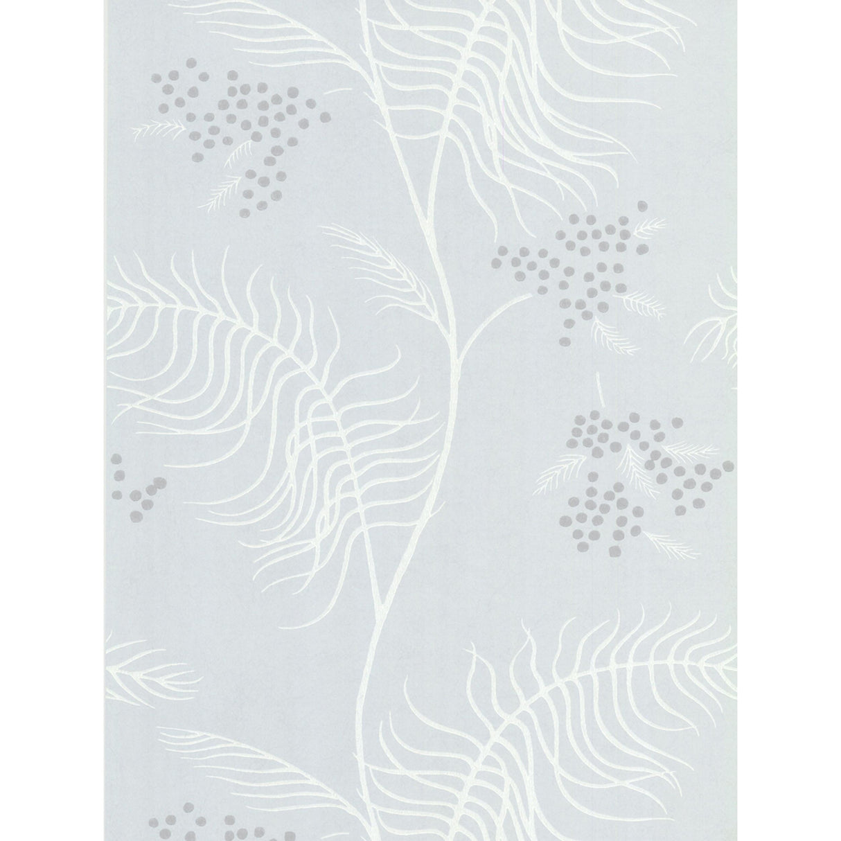 Cole & Son MIMOSA SLATE Wallpaper