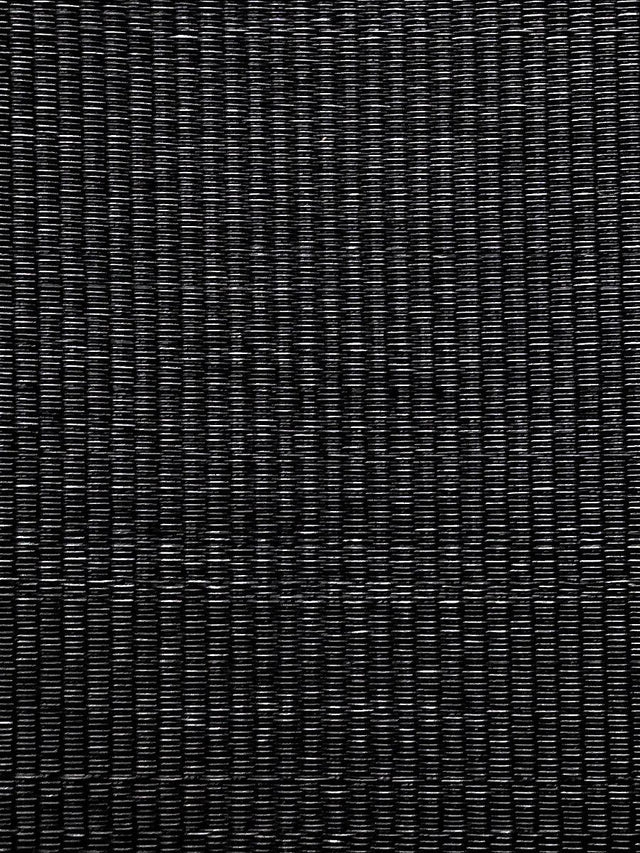 Scalamandre Selle Horsehair Black Fabric