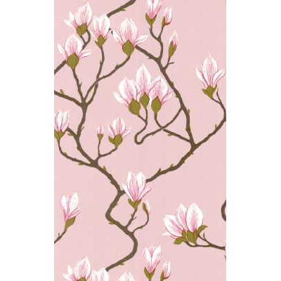 Cole & Son MAGNOLIA WP PINK Wallpaper