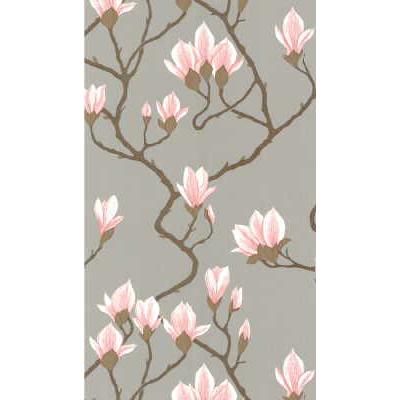 Cole & Son Magnolia Wp Grey Lustre Wallpaper