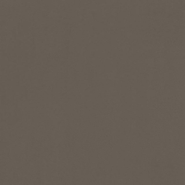 Kasmir Odin Oxford Fabric