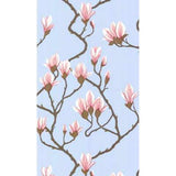 Cole & Son MAGNOLIA WP PALE BLUE Wallpaper