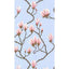 Cole & Son MAGNOLIA WP PALE BLUE Wallpaper
