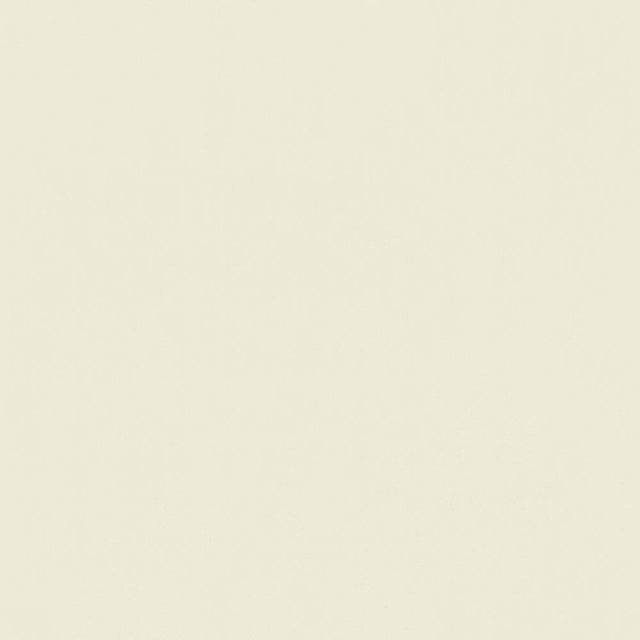 Kasmir Odin White Fabric