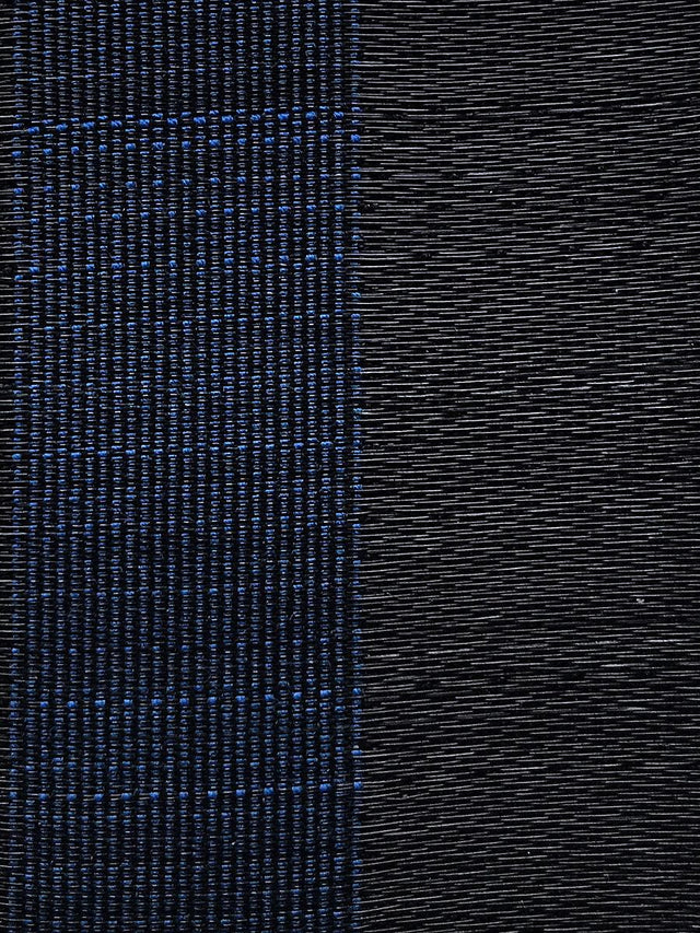 Scalamandre Fredericksborg Horsehair Blue / Black Fabric