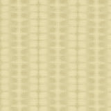 Kasmir Optics Sandstone Fabric