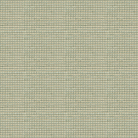 Kravet BUBBLE TEA CALM Upholstery Fabric