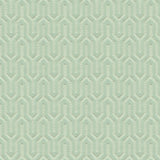 Kravet MEACHEM SPA Upholstery Fabric