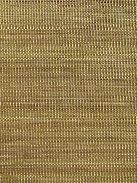 Scalamandre Paso Horsehair Chartreuse / Violet Fabric