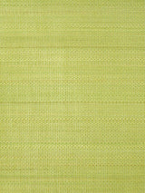 Scalamandre Paso Horsehair Chartreuse Fabric