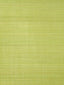 Scalamandre Paso Horsehair Chartreuse Fabric
