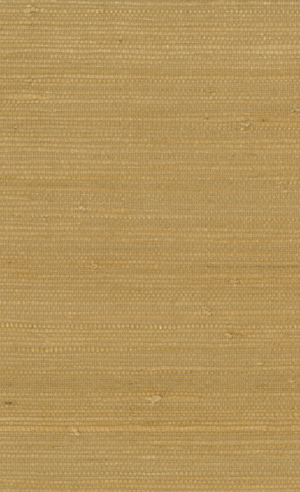 Kravet DESIGN W3312 4 Wallpaper