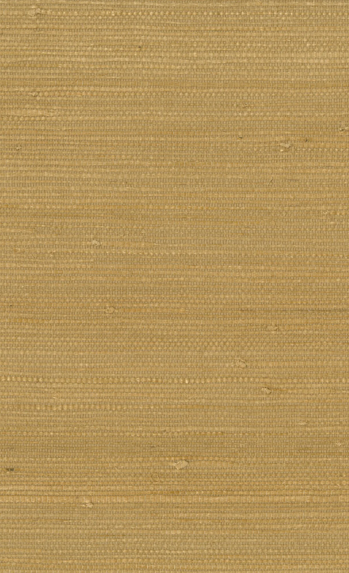 Kravet DESIGN W3312 4 Wallpaper