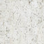 Kravet DESIGN W3319 1 Wallpaper