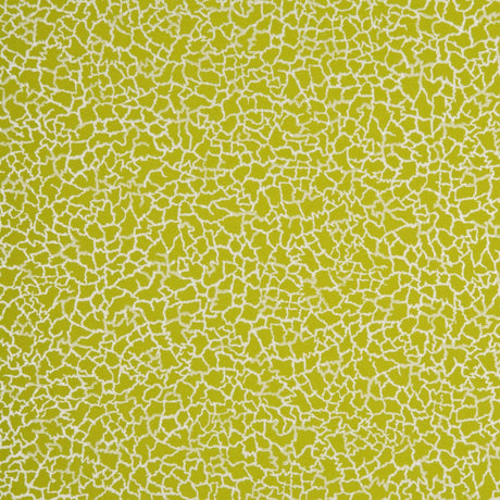 Baker Lifestyle MING LIME/SILVER Wallpaper