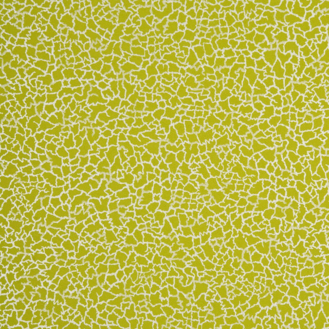 Baker Lifestyle MING LIME/SILVER Wallpaper