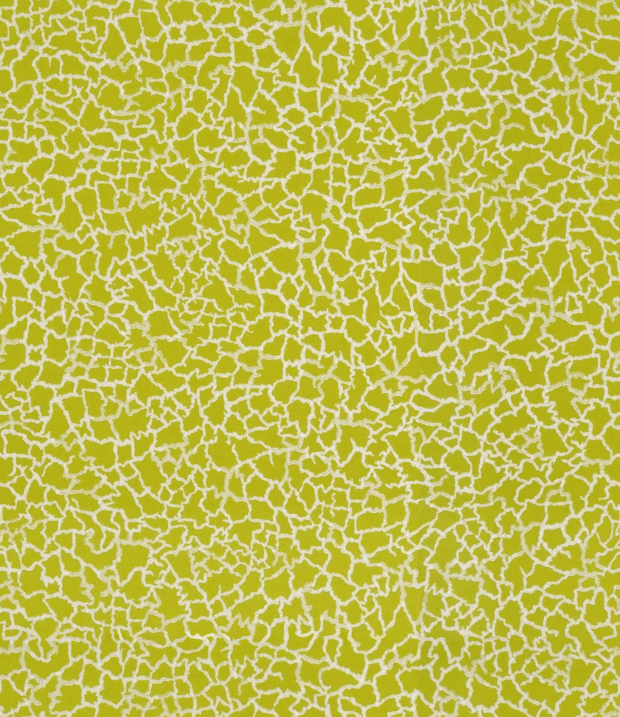 Baker Lifestyle MING LIME/SILVER Wallpaper