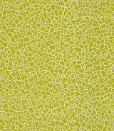 Baker Lifestyle MING LIME/SILVER Wallpaper