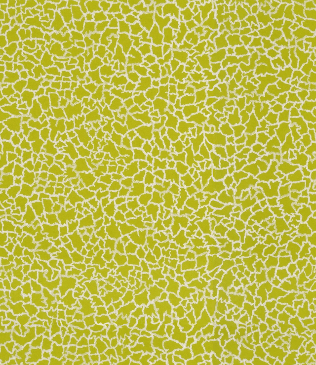 Baker Lifestyle MING LIME/SILVER Wallpaper