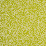 Baker Lifestyle MING LIME/SILVER Wallpaper