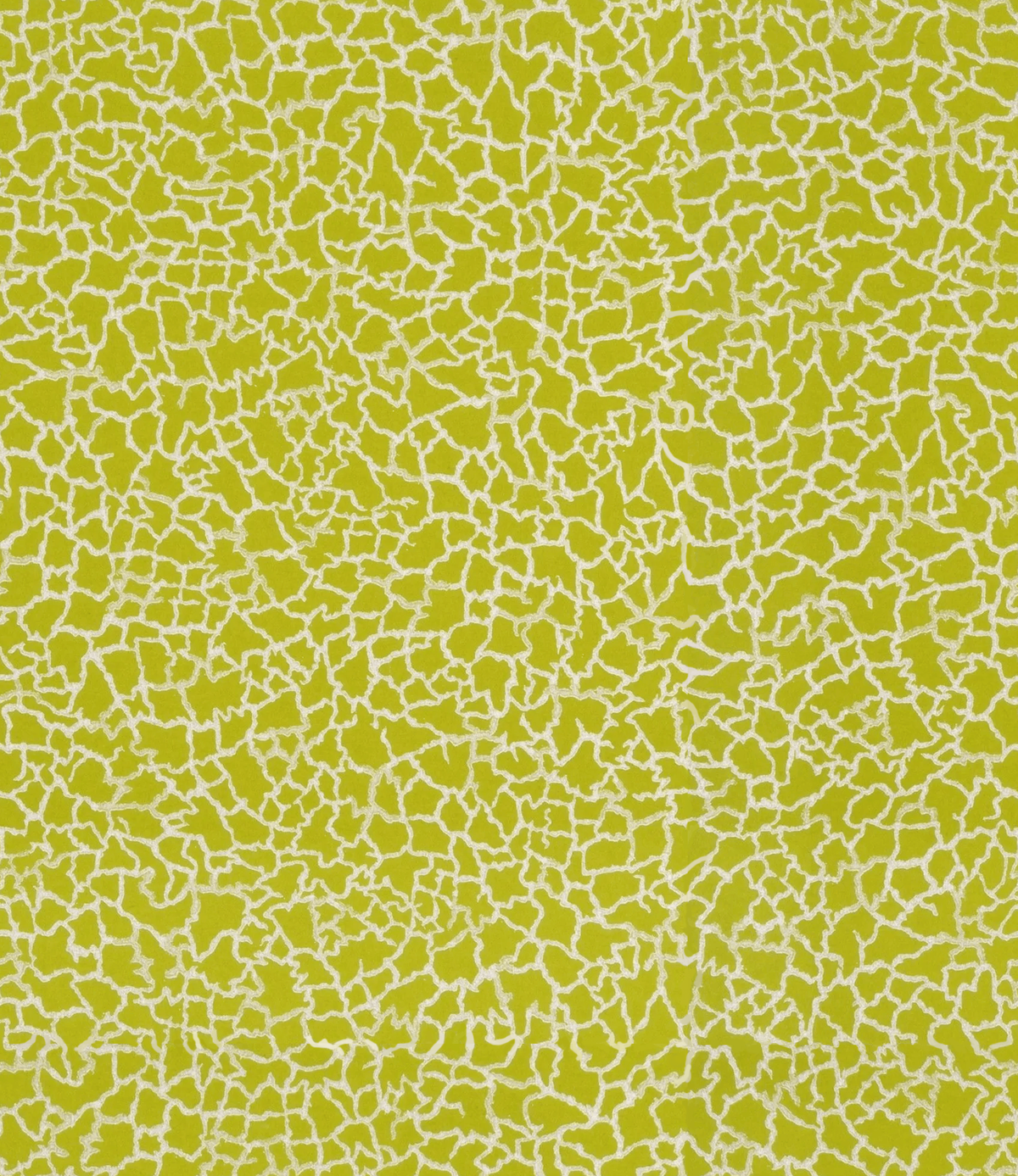 Baker Lifestyle MING LIME/SILVER Wallpaper